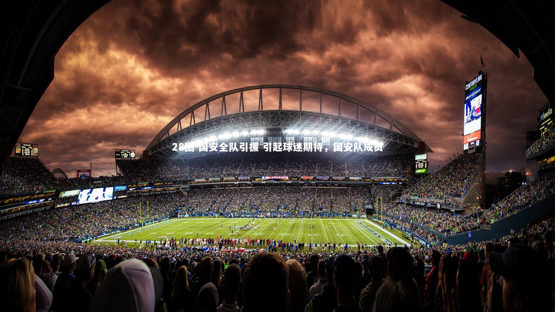 国安全队引援 引起球迷期待，国安队成员