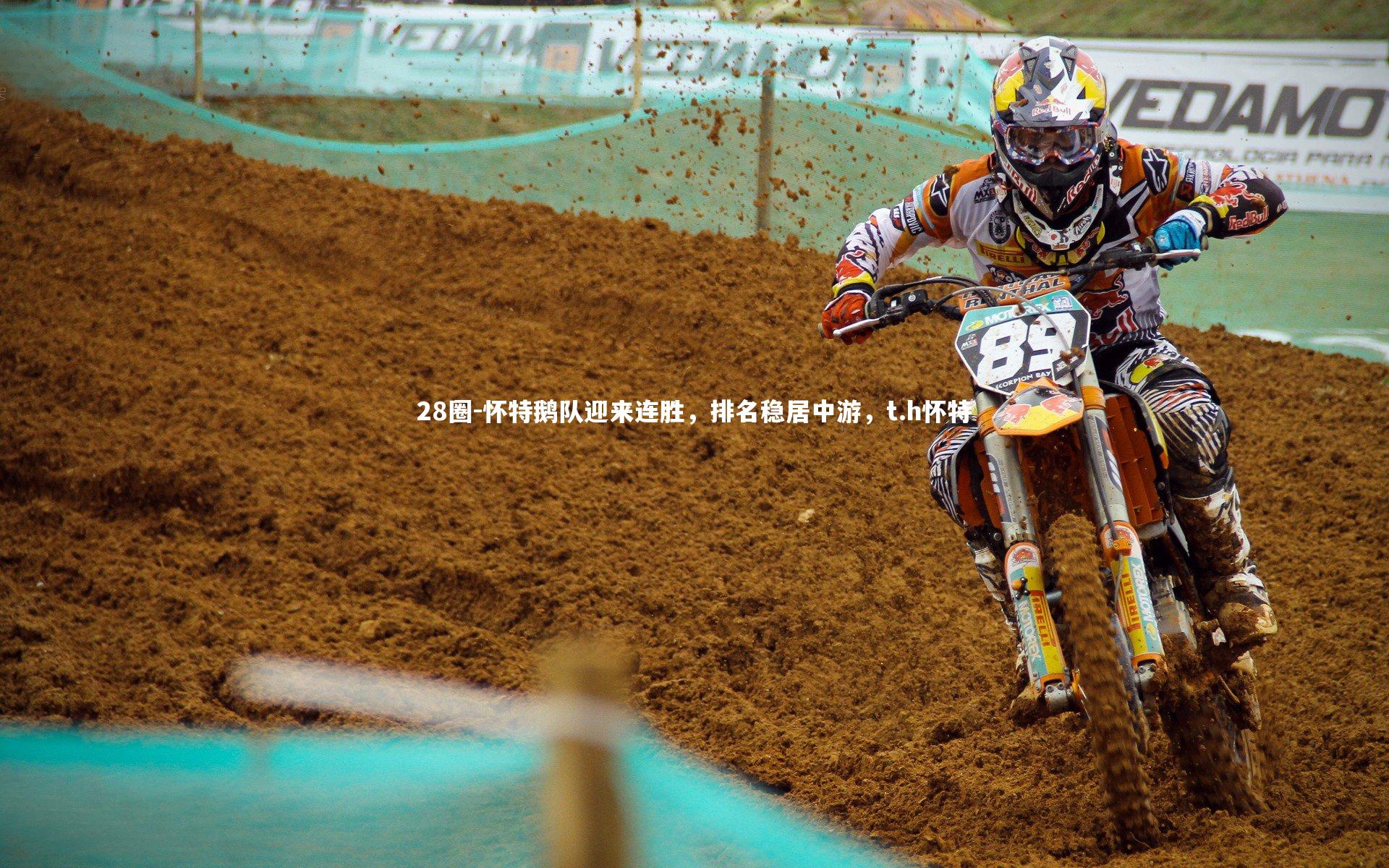 28圈-怀特鹅队迎来连胜，排名稳居中游，t.h怀特