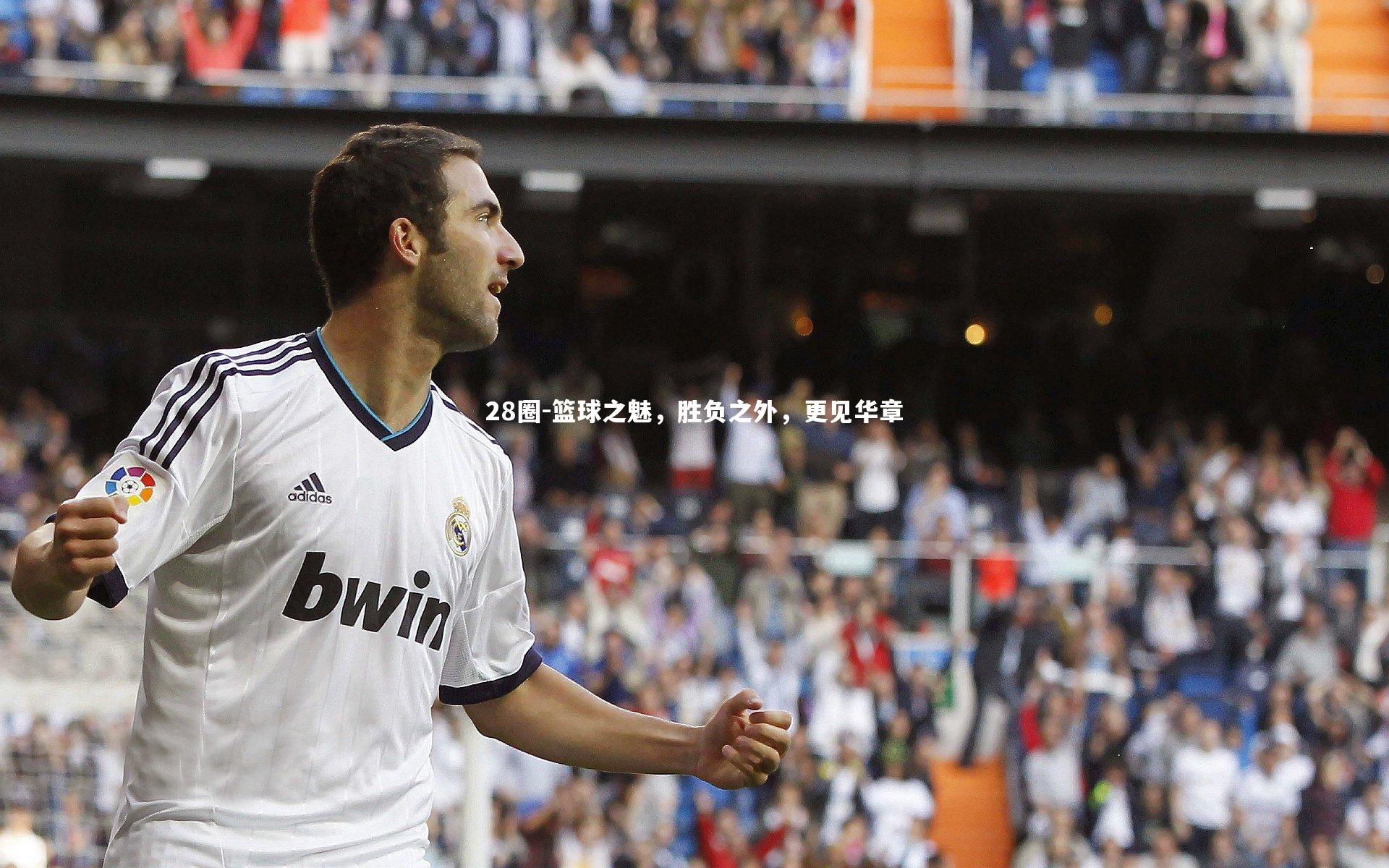 篮球之魅，胜负之外，更见华章